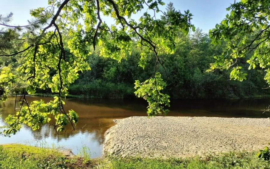 Сохранится высокая (4 класс) пожароопасность лесов и торфяников